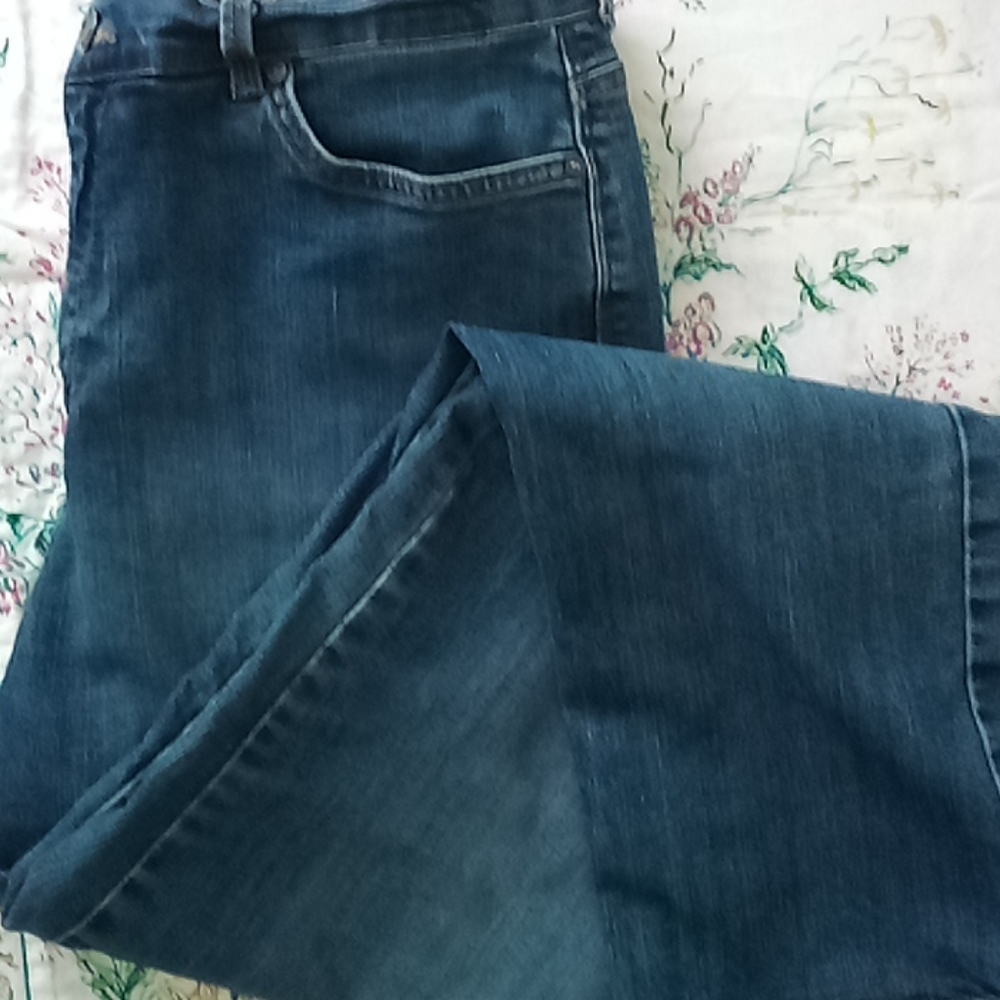 Gloria Vanderbilt Amanda Straight Jeans